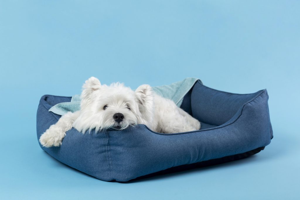 Comprar Camas para Perros